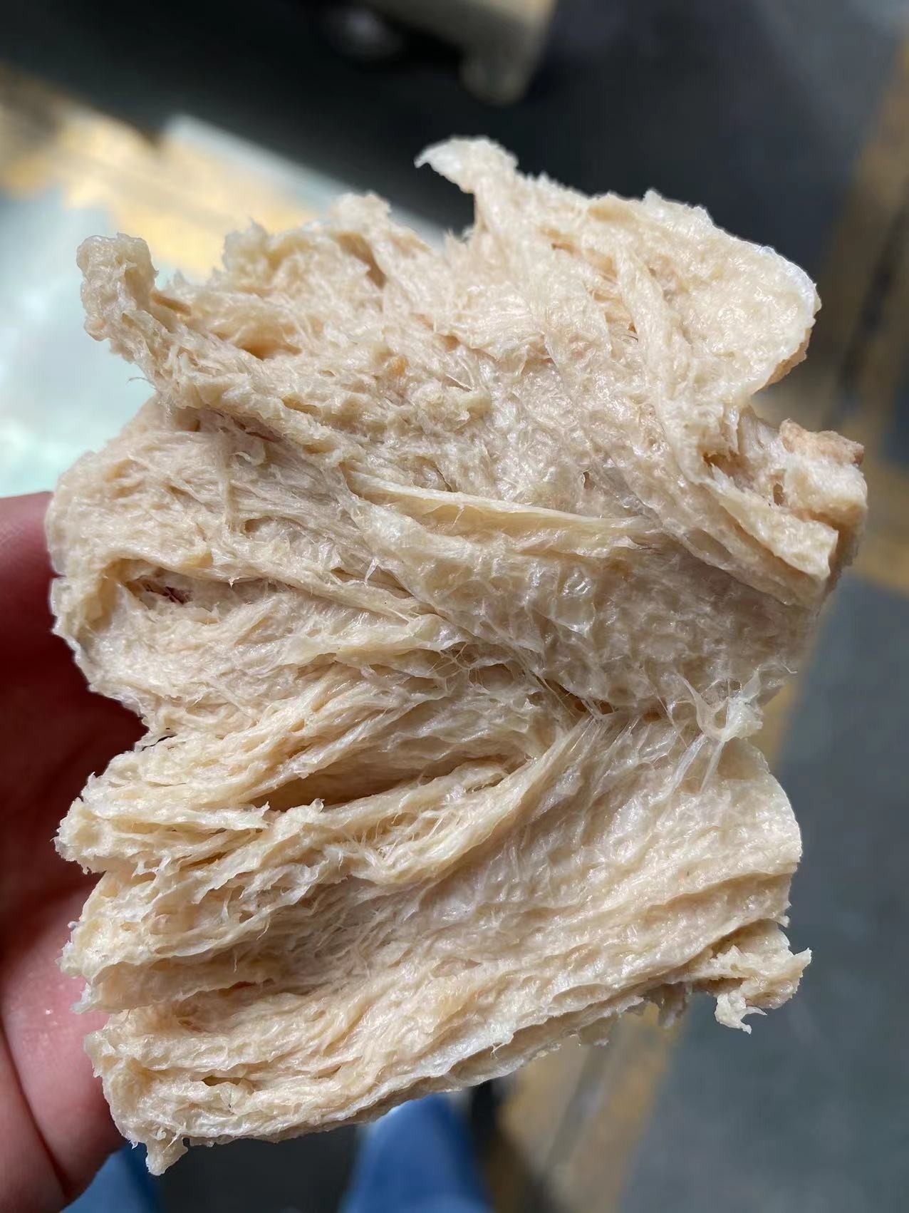 山東賽百諾公司舉辦“拉絲蛋白產(chǎn)線推介會(huì)”